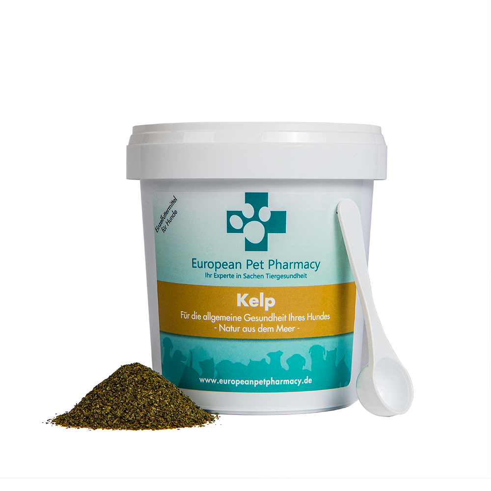 Kelp 500g