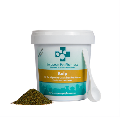 Kelp 500g