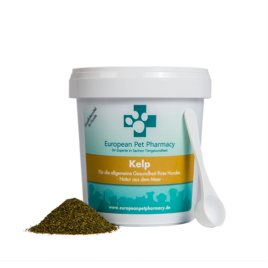 Kelp 500g