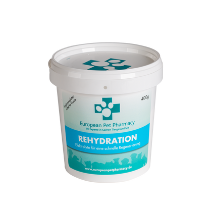 Rehydration 400g